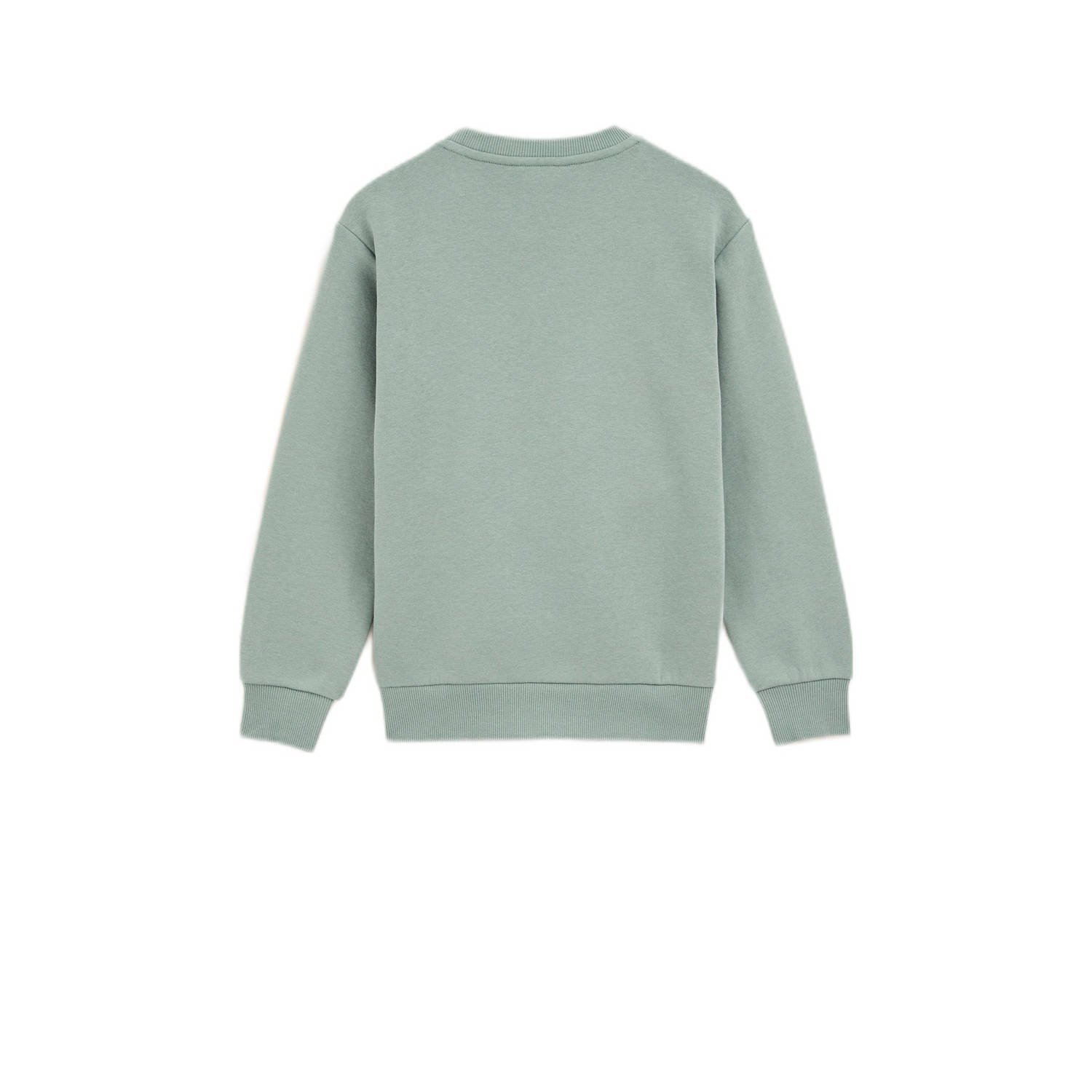 WE Fashion Blue Ridge sweater lichtgroen