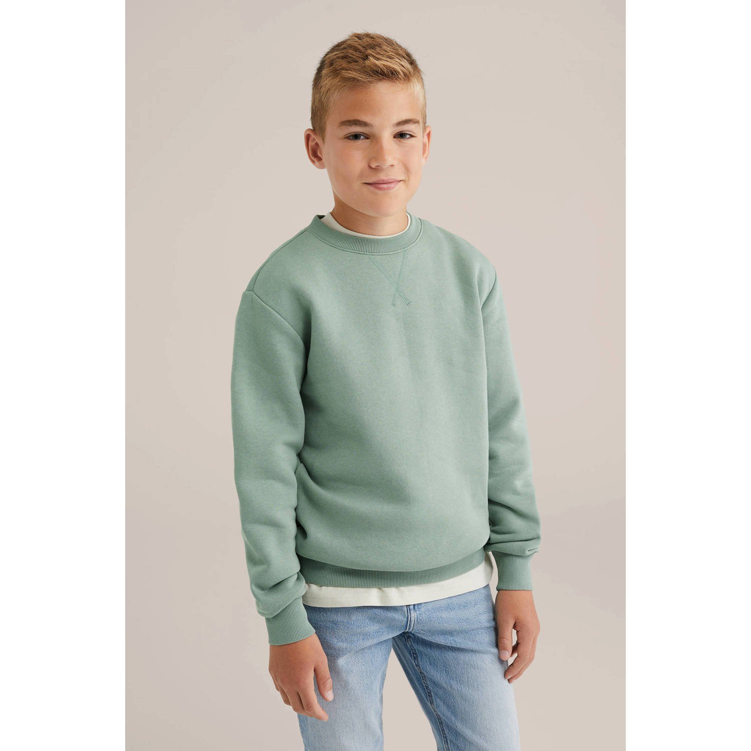 WE Fashion Blue Ridge sweater lichtgroen