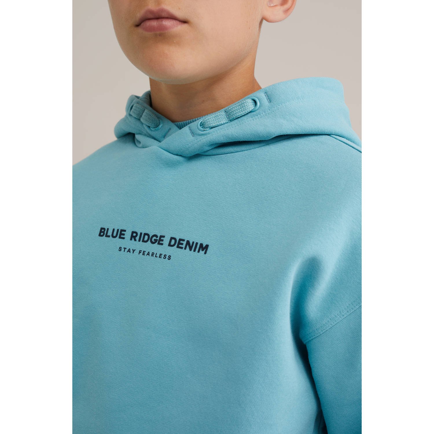 WE Fashion Blue Ridge hoodie blauw