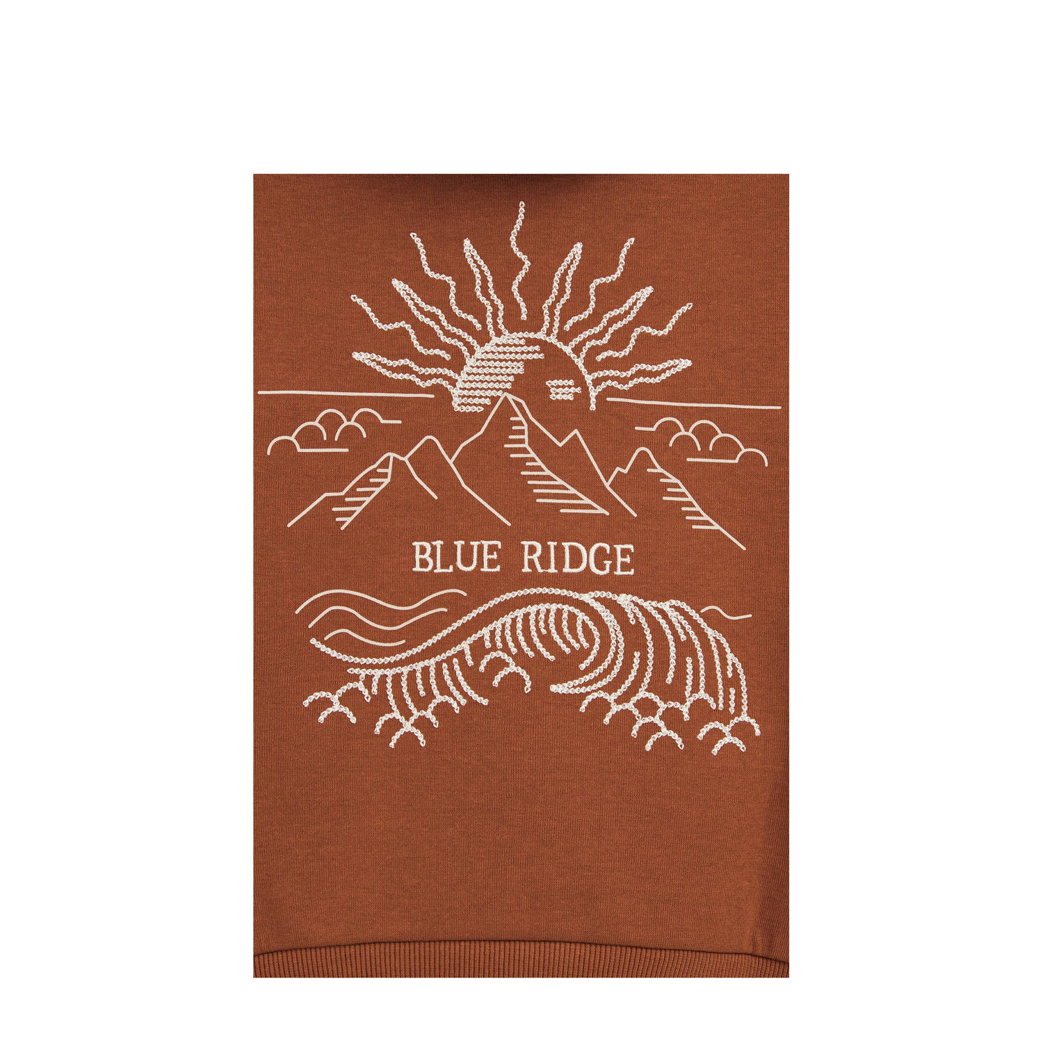 WE Fashion Blue Ridge sweater bruin