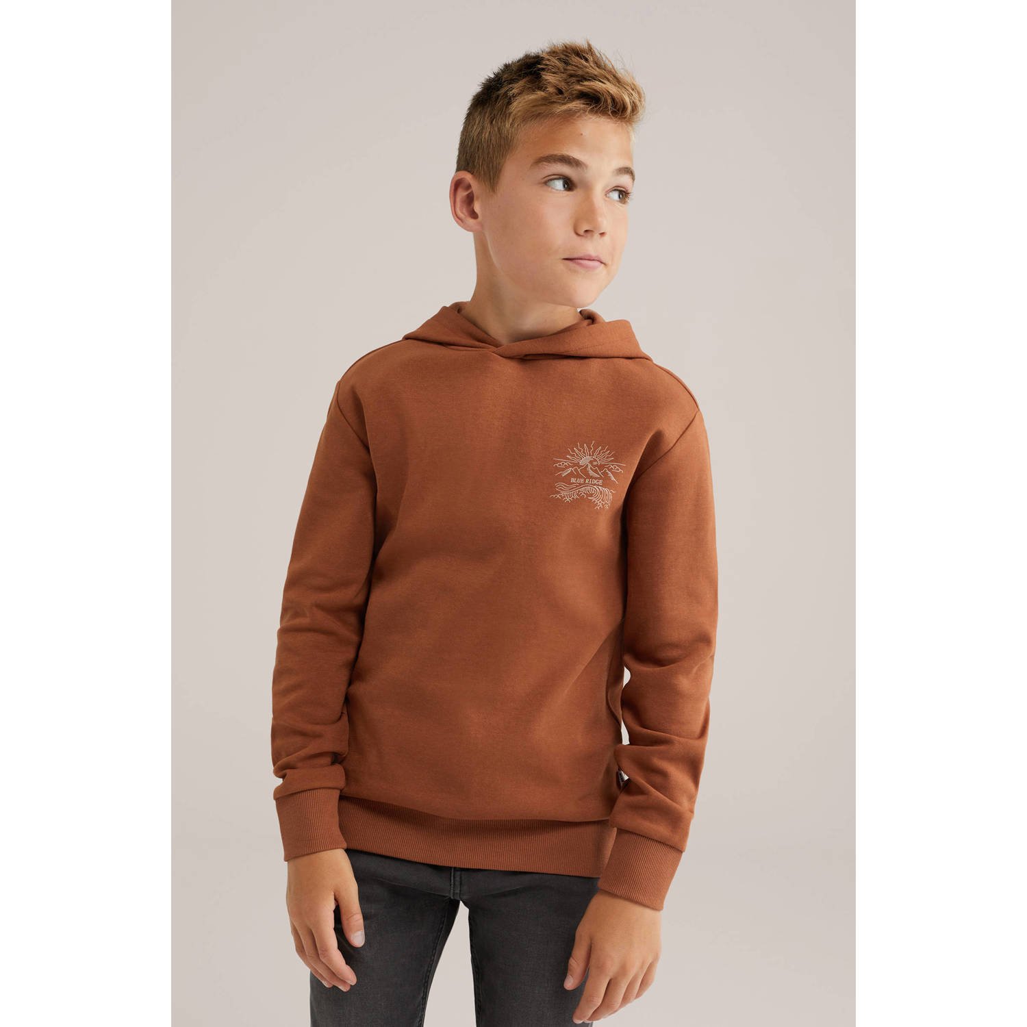 WE Fashion Blue Ridge sweater bruin