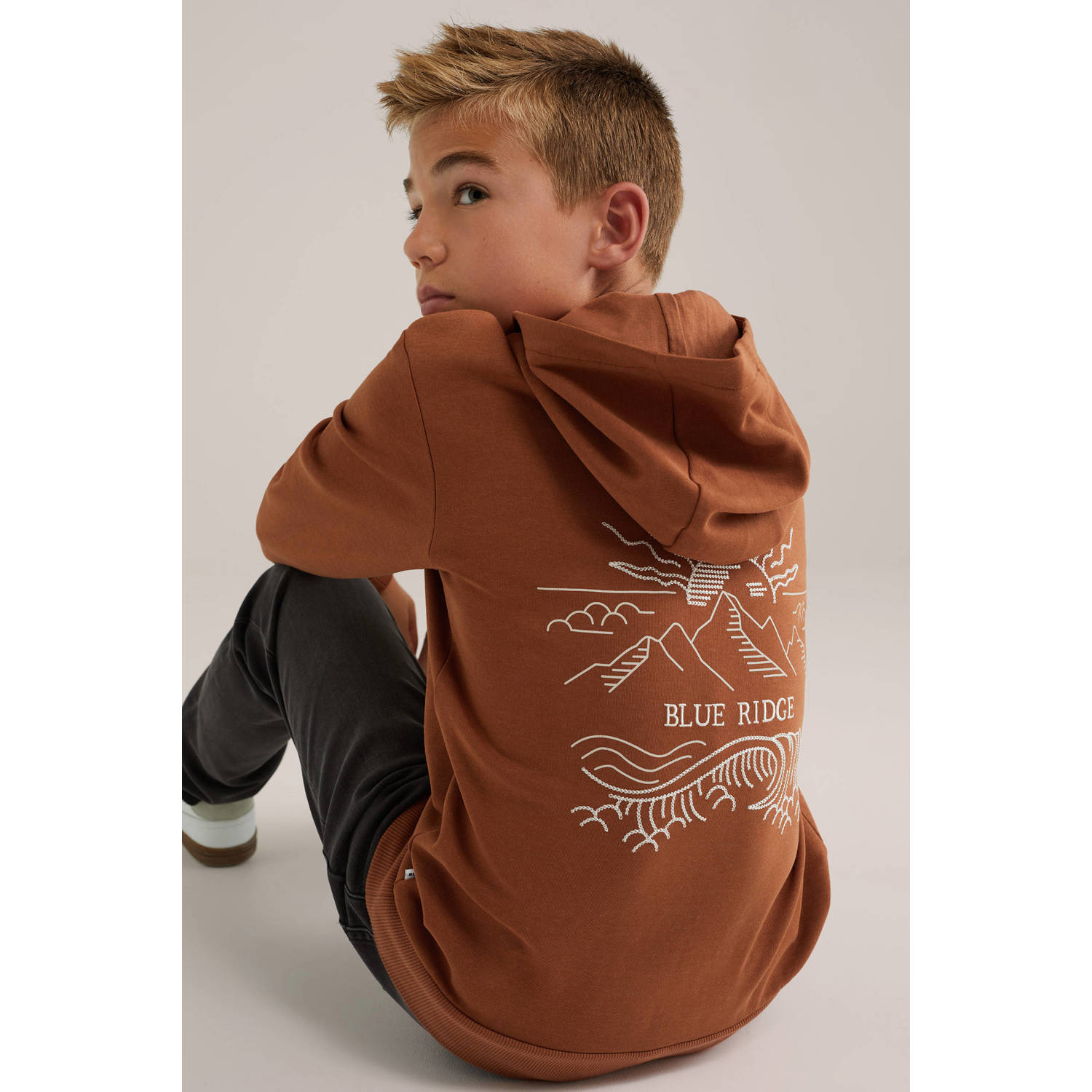 WE Fashion Blue Ridge sweater bruin