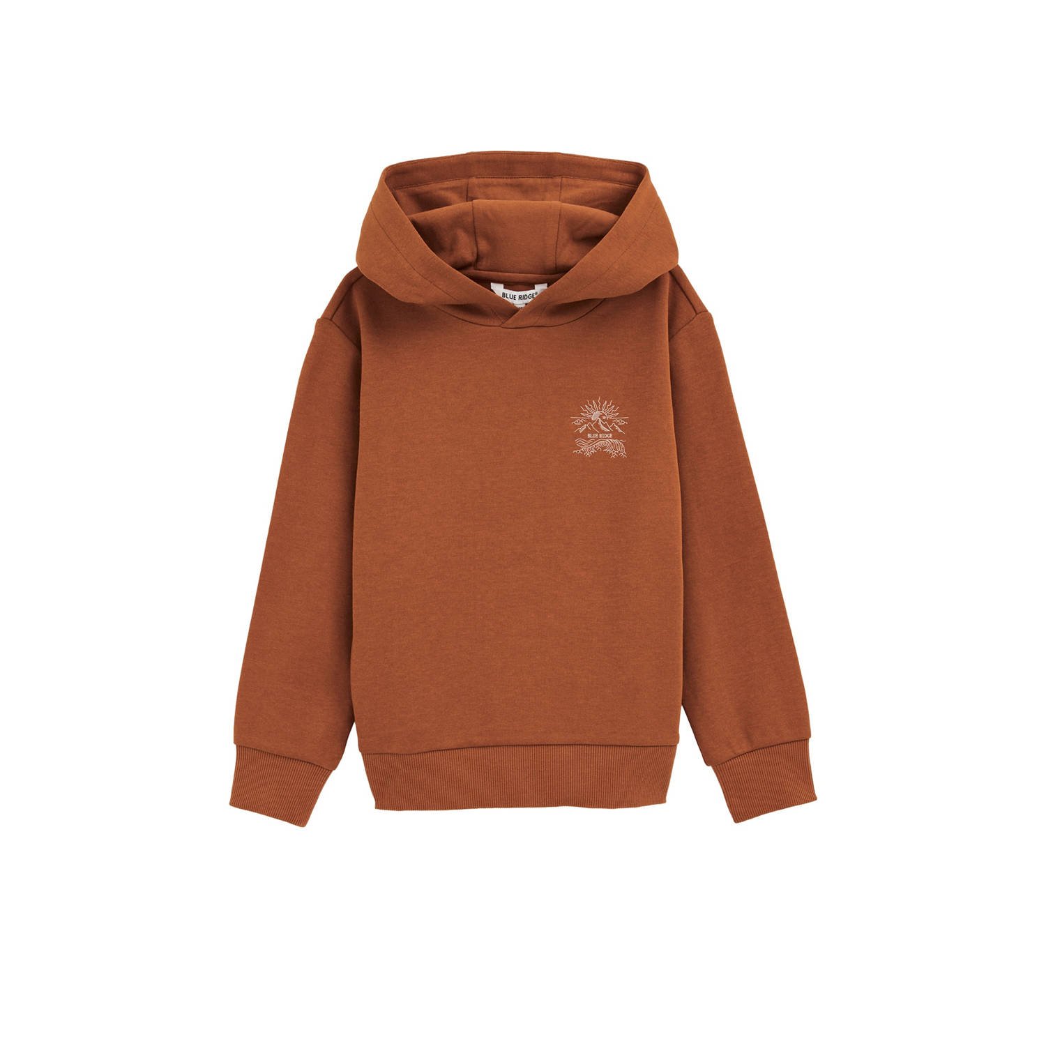 WE Fashion Blue Ridge sweater bruin