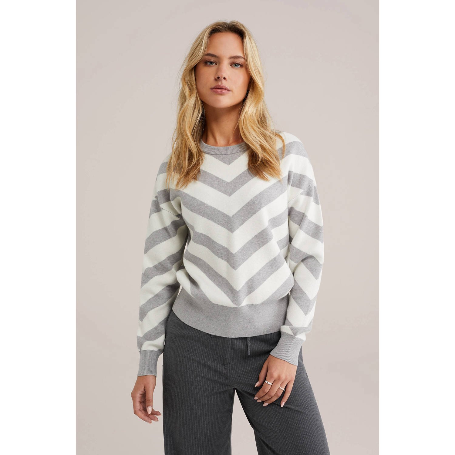 WE Fashion trui grijs fijn gebreid