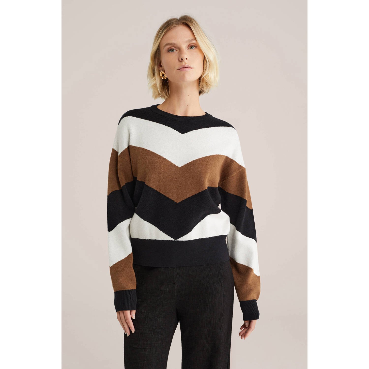 WE Fashion gebreide trui multi