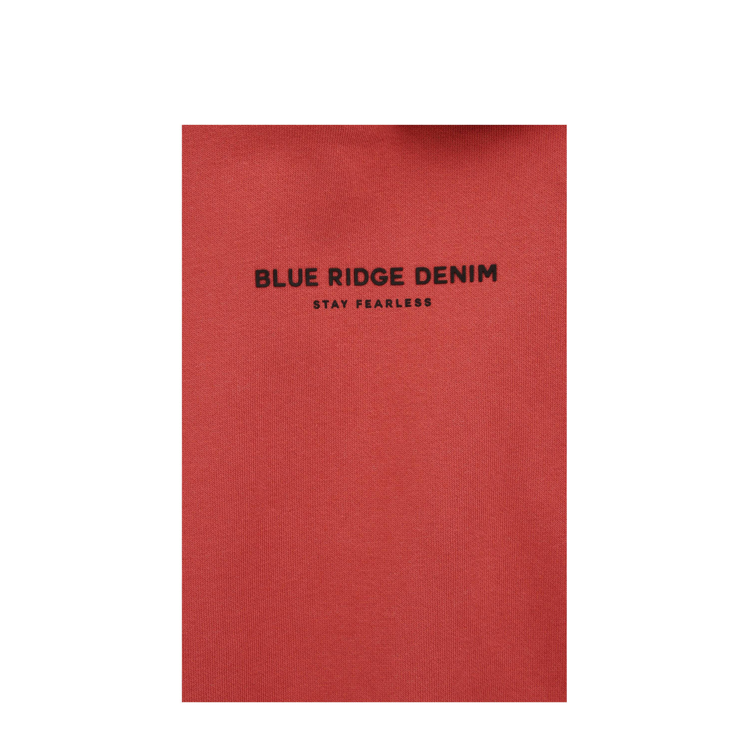 WE Fashion Blue Ridge hoodie rood