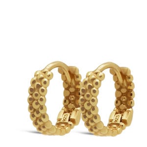 gold plated oorbellen Dots Row