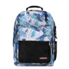 dreamflower blue