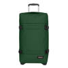 Bristle green