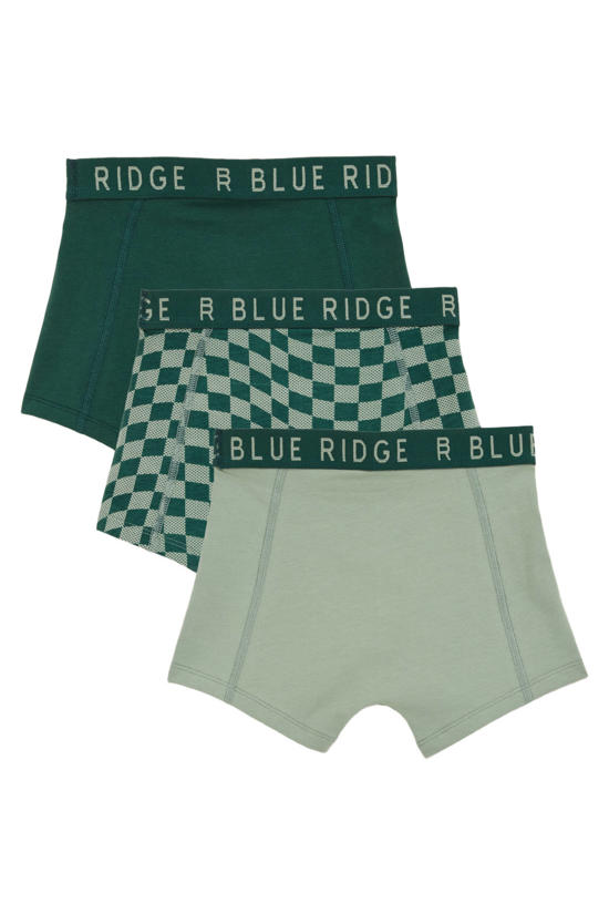 WE Fashion Blue Ridge boxershorts voor kinderen