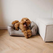thumbnail: District 70 hondenmand CLASSIC Box Bed - Urban Taupe - XL - (117 x 82 cm)
