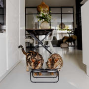 thumbnail: District 70 kattenvoerbakstandaard BUTLER - Cat - Black