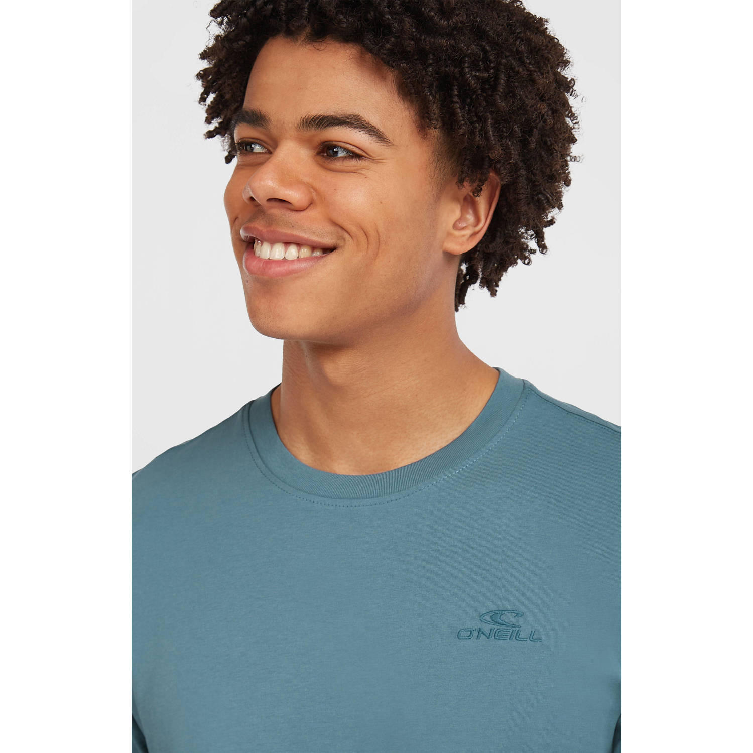 O'Neill T-shirt Small Logo blauw