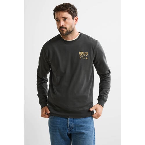 Petrol Industries sweater grijs afbeelding