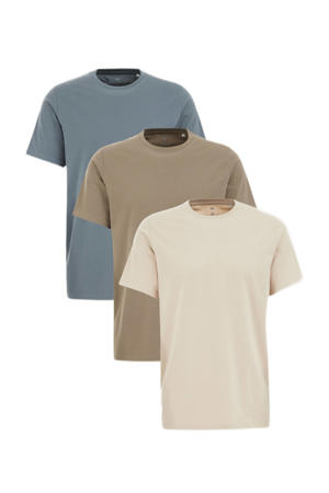 regular T-shirt multi - (set van 3)