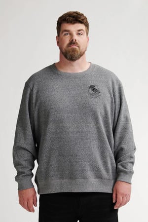 sweater grijs