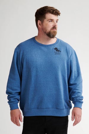 sweater blauw