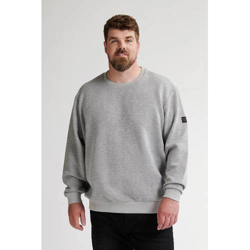Petrol industries Plus Size sweater met textuur lichtgrijs afbeelding