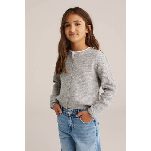 WE Fashion vest grijs melange gebreid afbeelding