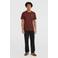 O'Neill regular T-shirt met backprint bruin
