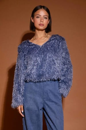 sweater blauw