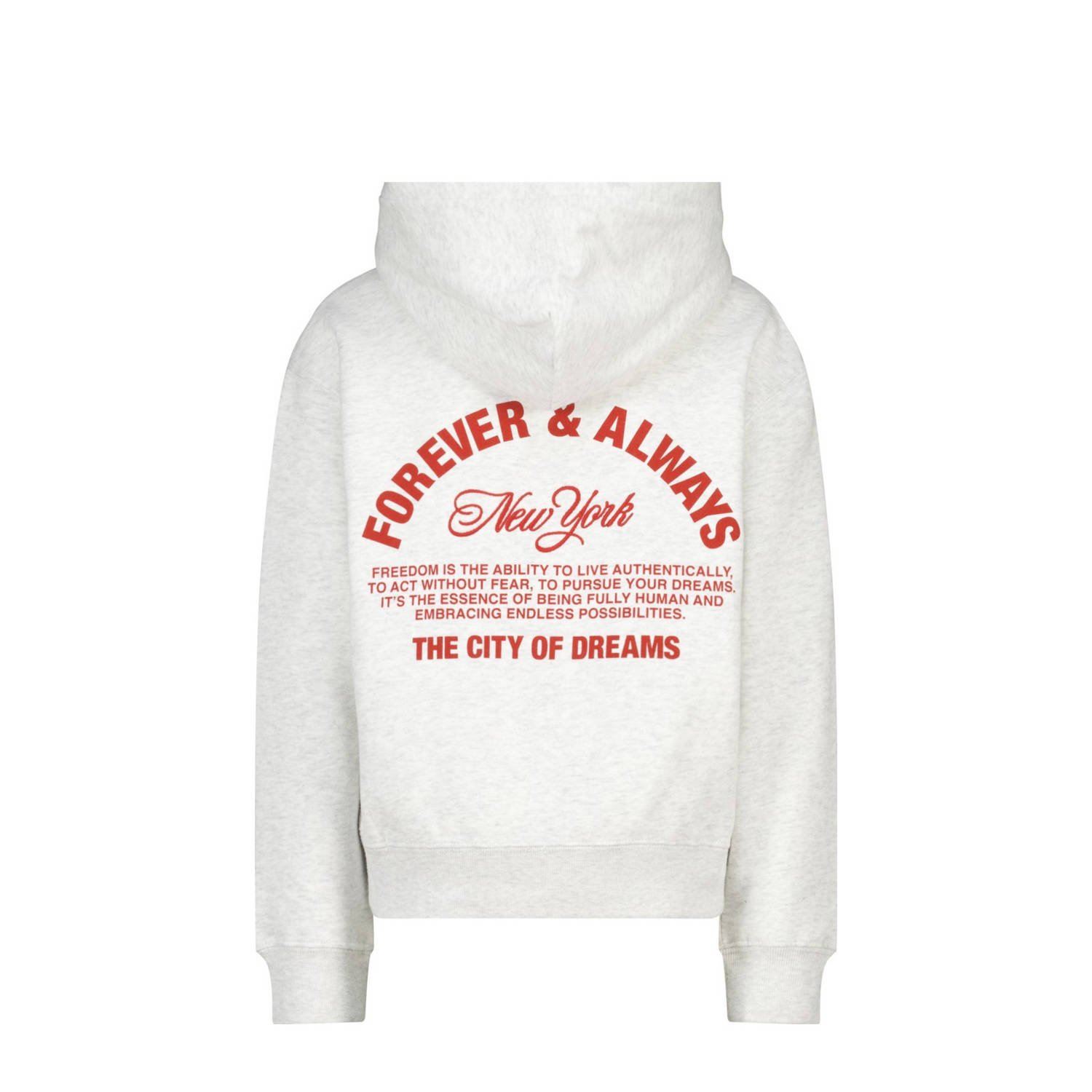 America Today hoodie grijs