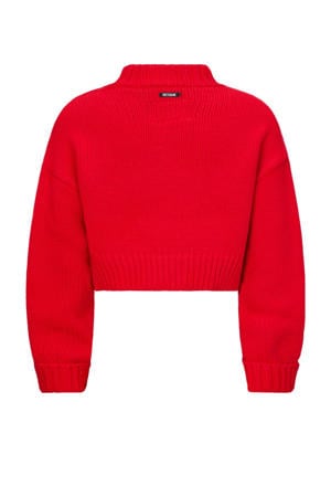 trui rood