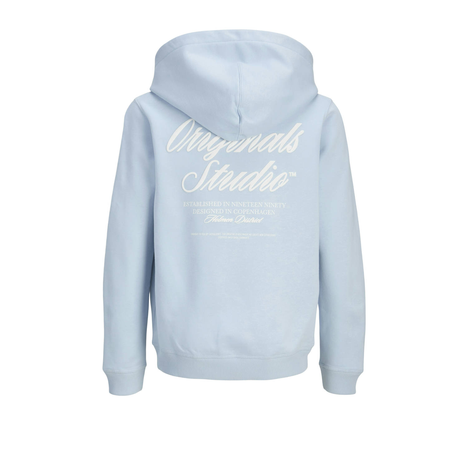 JACK & JONES JUNIOR hoodie lichtblauw