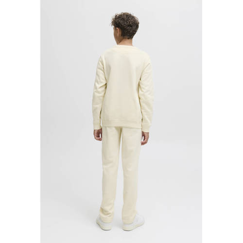 JACK & JONES JUNIOR sweater ecru afbeelding