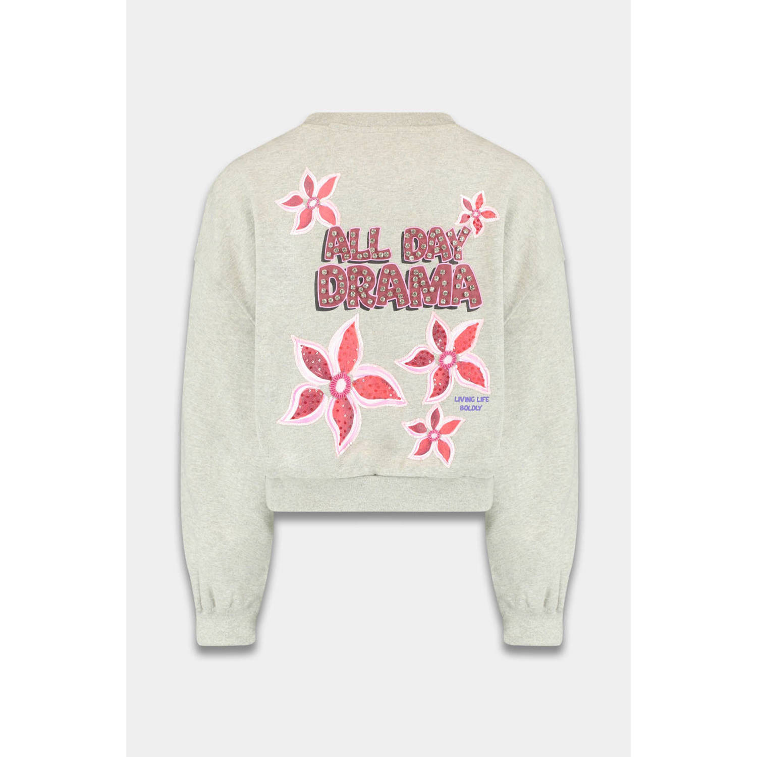 HARPER & YVE sweater grijs