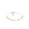 Skagen armband SKJ1880710 goudkleurig