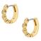 Fossil oorbellen JF04913710 Ellis goudkleurig
