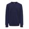 ONLY & SONS JUNIOR sweater donkerblauw