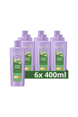shampoo - 6 x 400 ml