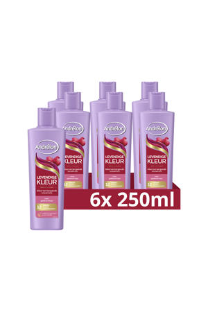 shampoo - 6 x 250 ml