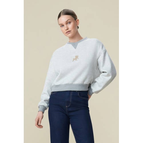 Lois sweater lichtgrijs afbeelding