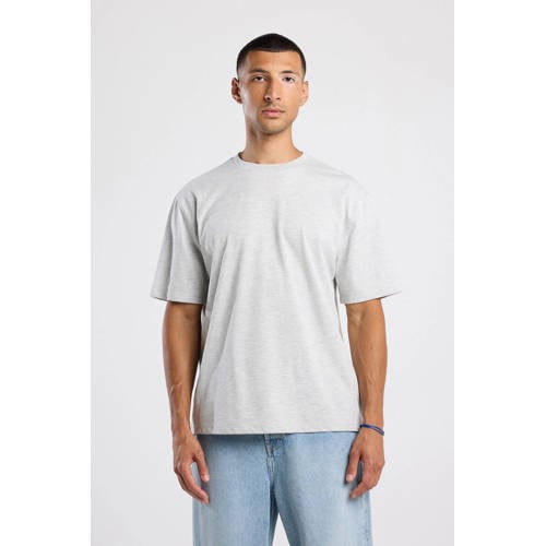 America Today relaxed T-shirt lichtgrijs afbeelding