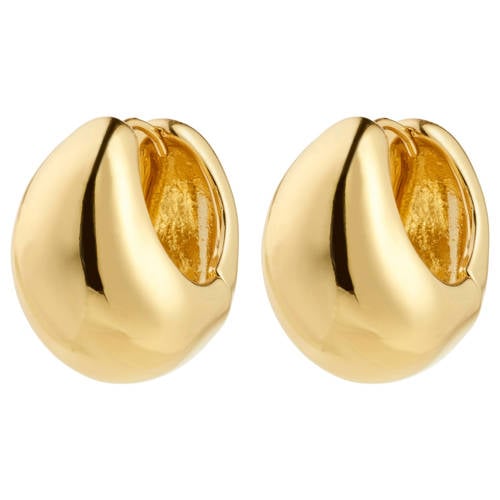 PILGRIM gold plated oorbellen Free afbeelding