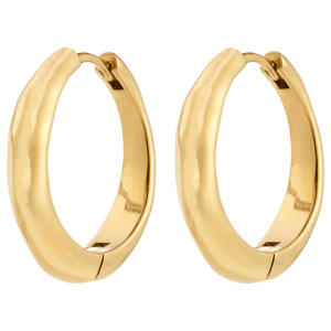gold plated oorbellen Harrison