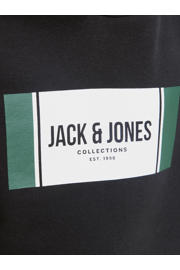 thumbnail: JACK & JONES JUNIOR hoodie zwart