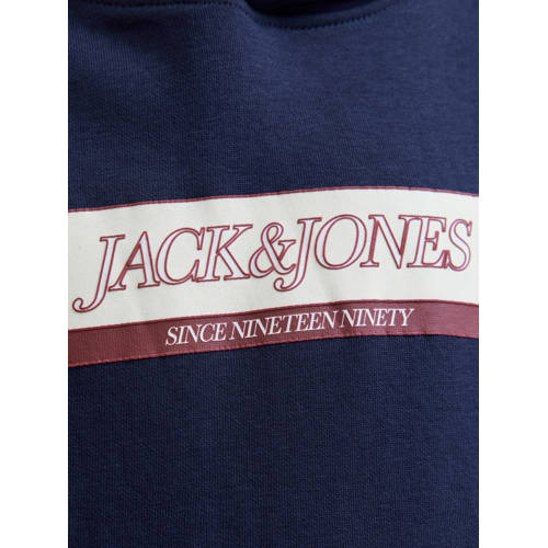 JACK & JONES JUNIOR hoodie blauw afbeelding
