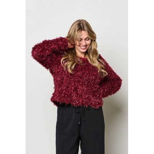 &Co Woman gebreide trui donkerrood afbeelding