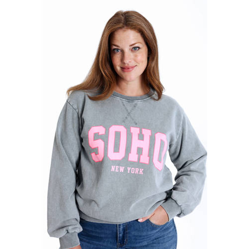 Paprika sweater grijs afbeelding