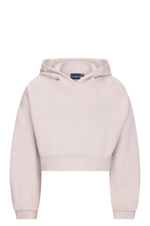 hoodie grijs