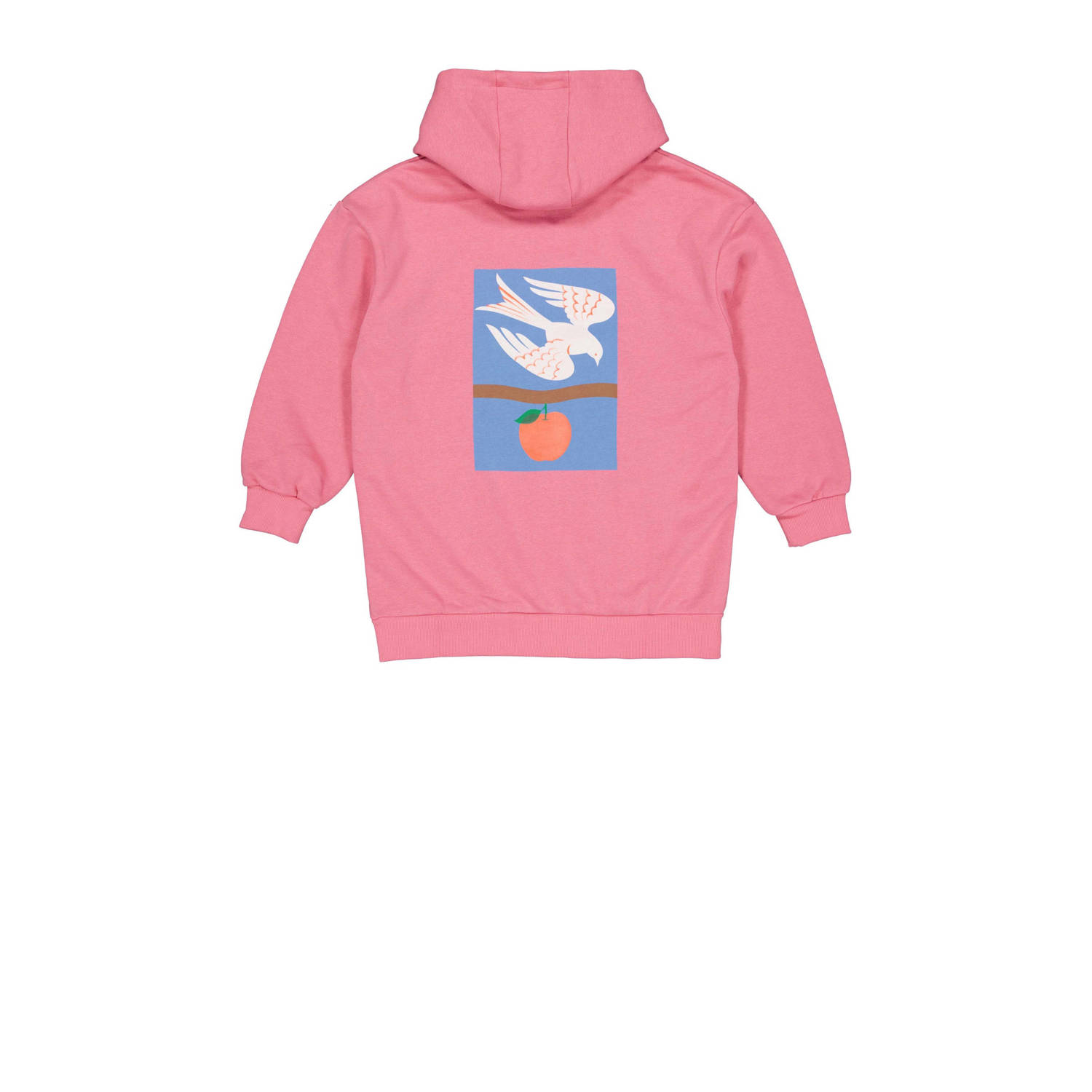 House of Artists hoodie roze