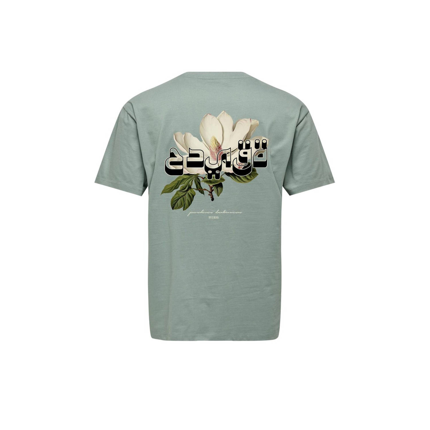 ONLY & SONS relaxed T-shirt groen