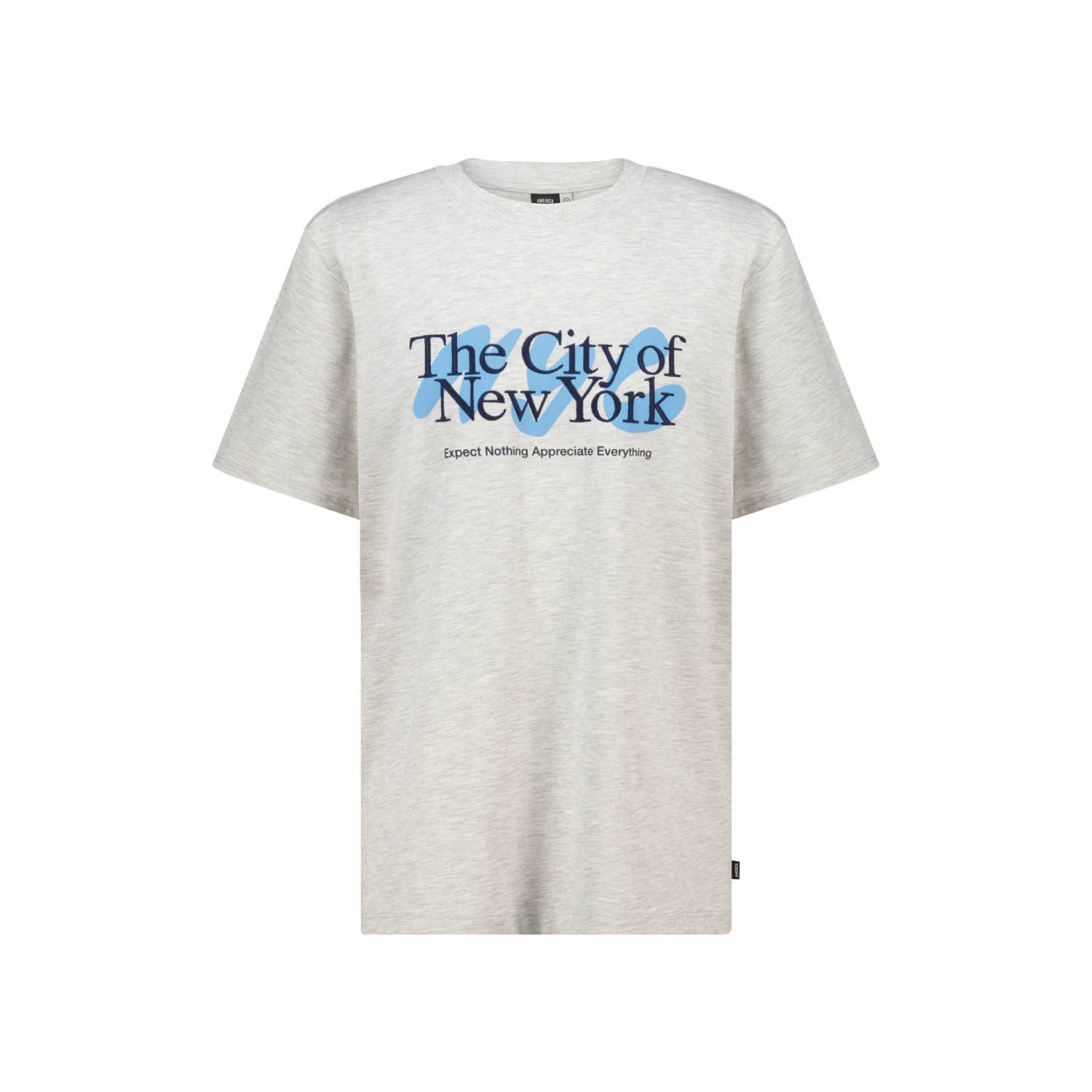 America Today regular T-shirt grijs