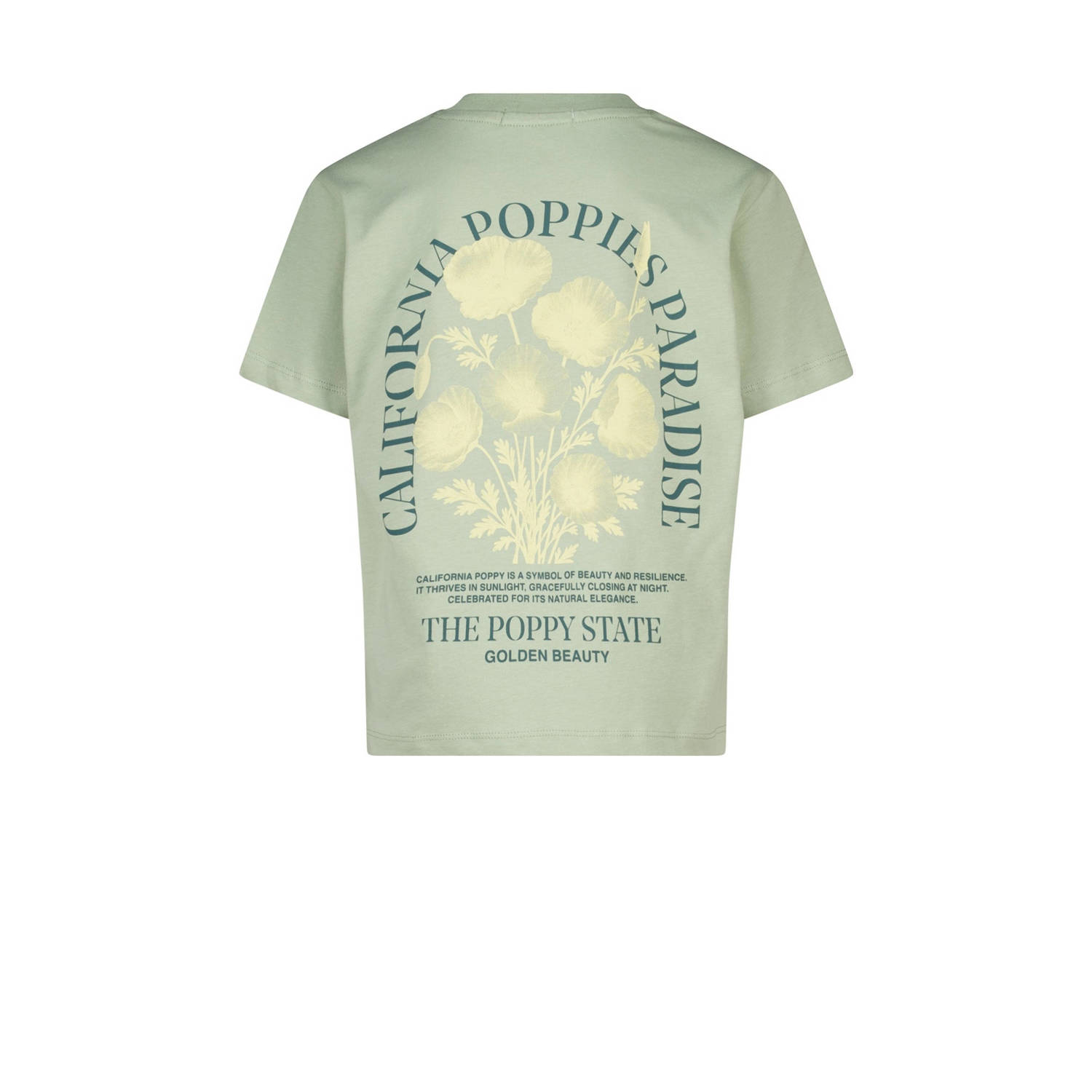 America Today T-shirt groen