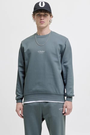 sweater blauw