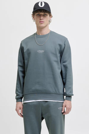 sweater blauw